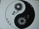 yin si yang-
