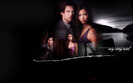 Vampire-Diaries-3-the-vampire-diaries-11390277-1280-800