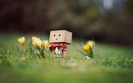 danbo_march_wallpaper_flowers_by_gloeckchen