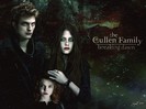 The Twilight Saga Breaking Dawn1