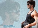 SHAHID (15)