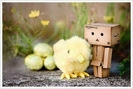 tumblr-danbo-fotos-by-thataschultz20110927-83195411_large_large