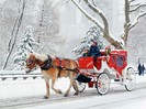 Hansom Cab, Central Park, New York