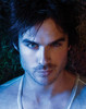 TVD (44)