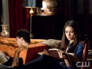 TVD (17)