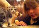 taylor-swift-cat-lady