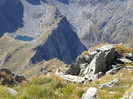 MUNTII FAGARAS- LACUL CALTUN 10.09.2011 (128)