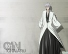 Ichimaru.Gin.240.663581