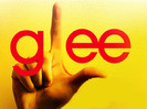 Glee-tfw-the-friends-whatever-8033256-1024-768