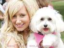 ashley_tisdale04