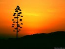 Sunset at Vendicari (Sicily)