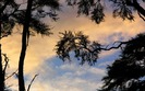 00279_barkbaysunset_1440x900