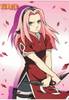 Sakura Haruno (13)