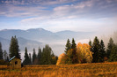 Palaghioi-Toamna in Bucovina 9