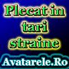 plecat ib tari straine