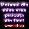 motanul%20din%20mine%20vrea%20pisicuta%20din%20tine%20copy