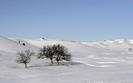 605_snowscape_1440x900