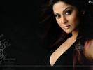 Shamita_Shetty_1256003456_2