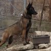 firemalinois09