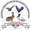 asociatiacrisanaoradea