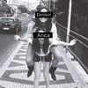 xpurfBieberx3