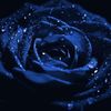 EmeraldaBlue