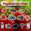 pepinierelehida