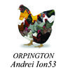 andreiion53