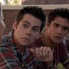 sterek