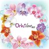 OrhiLove