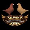 Silvaky
