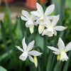 georgy03021993