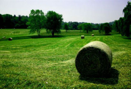 foto_natura - Pentru Gabryyella