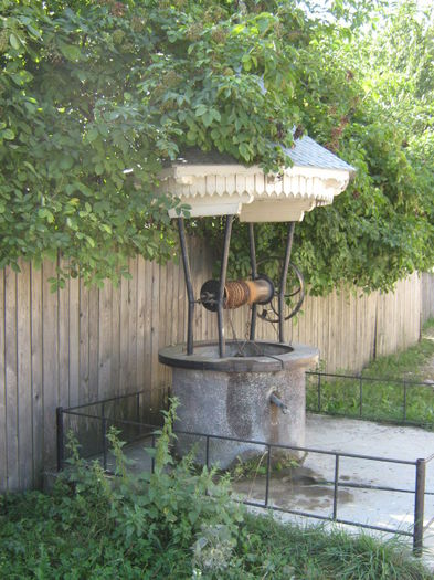 Picture 616
