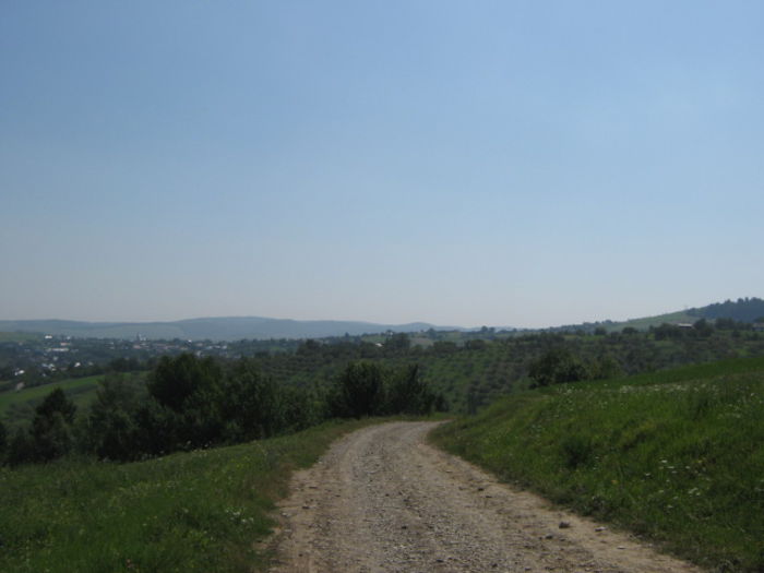Picture 623