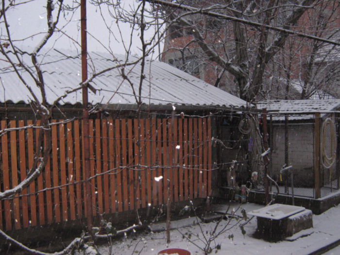 IMG_7029 - Vara 2011