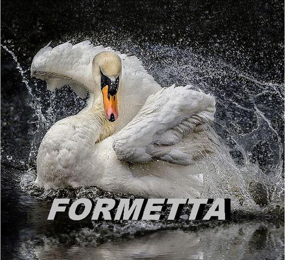 FORMETTA......caut grup - postuniversitar-; dedicatie - use flagiolett-

https://www.youtube.com/watch?v=rjT7DSslP5w
