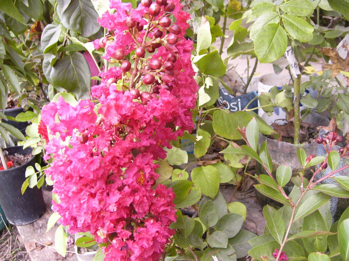 P1230038