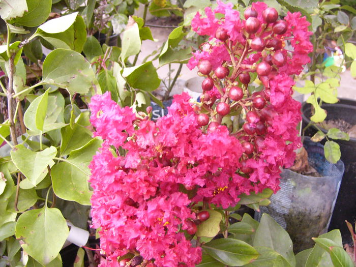 P1230041