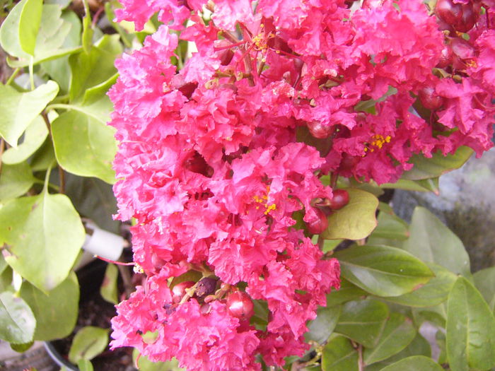 P1230043