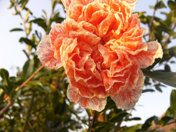 P1230057