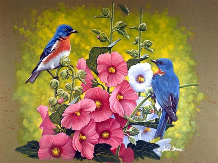 222709-9ad97-46095196-m750x740-ub9afb - picturi
