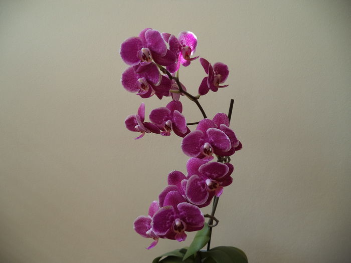 DSC01112