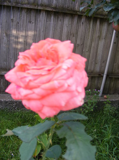 DSCF0046