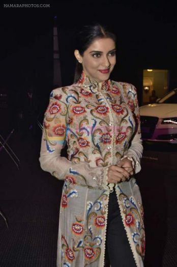 hpse_normal__2956562863_Asin Thottumkal at Saif Belhasa Holdings Masala Awards on 29th Nov 2013 (304