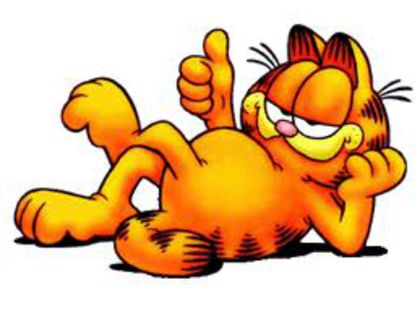 garfield show