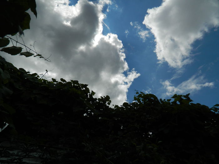 DSCN7788 - AUGUST_2_2014