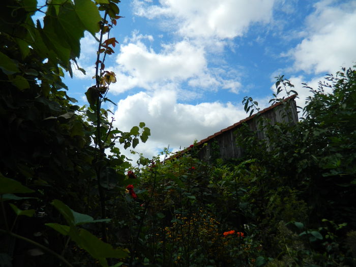 DSCN7790 - AUGUST_2_2014