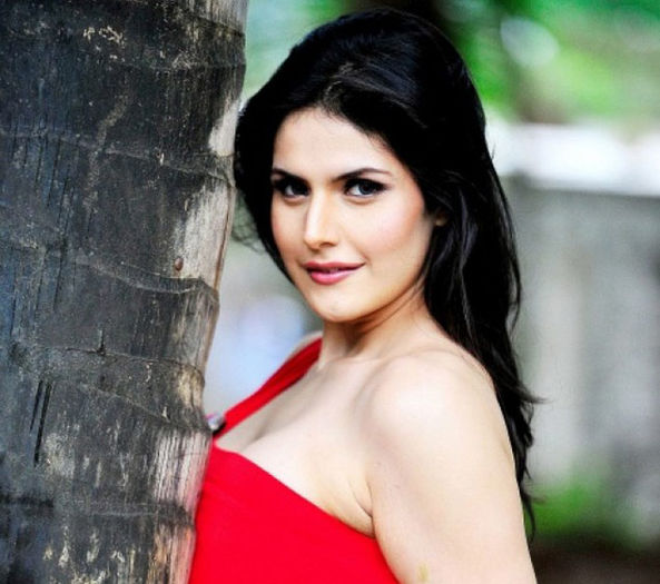 zareen-khan_660_093013124549 - Zarine Khan