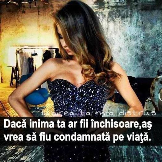1621672_347474952072111_8539807025518411559_n - Poze